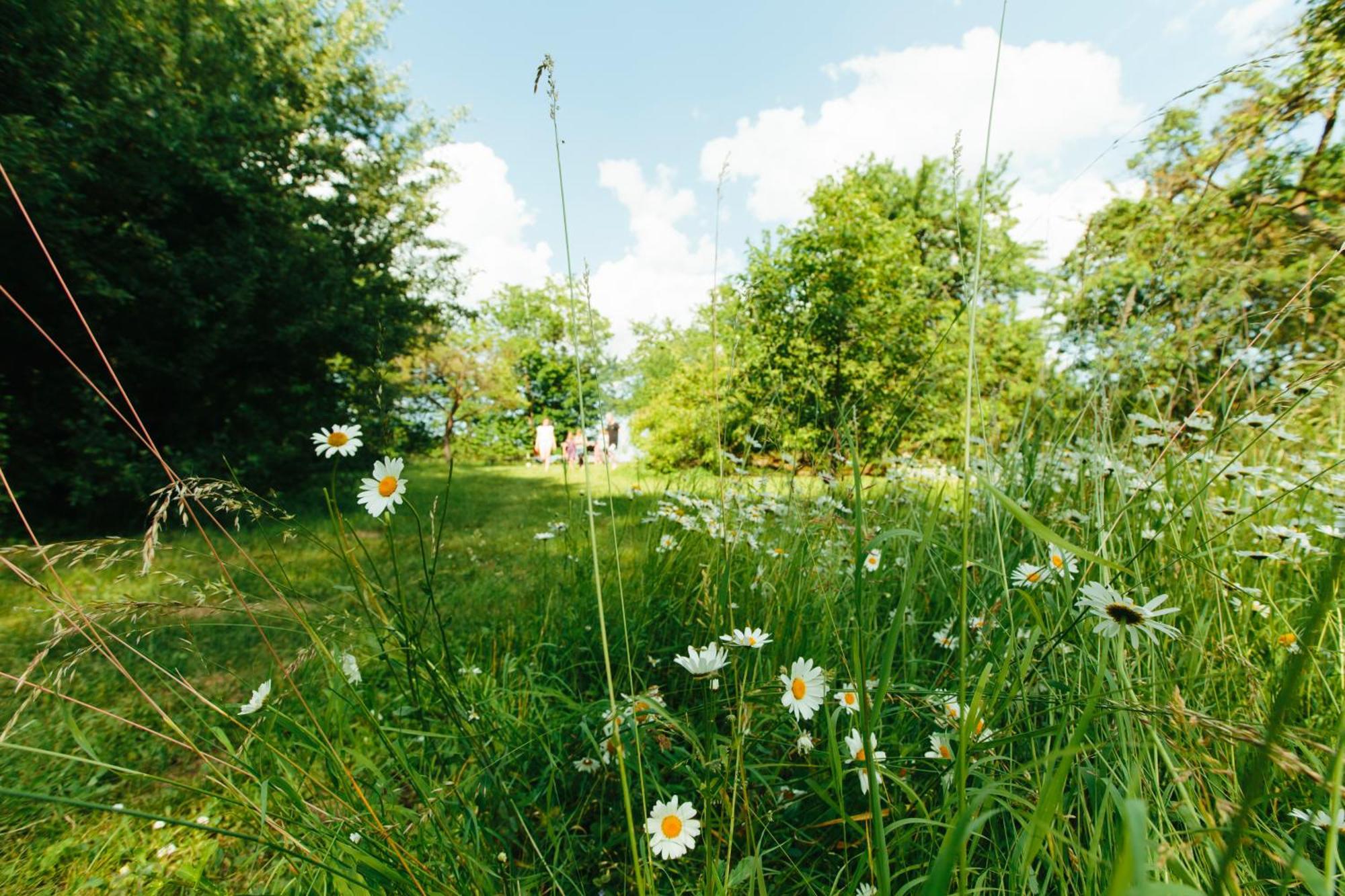 Feriendomizil Alter Garten Temmen-Ringenwalde Esterno foto