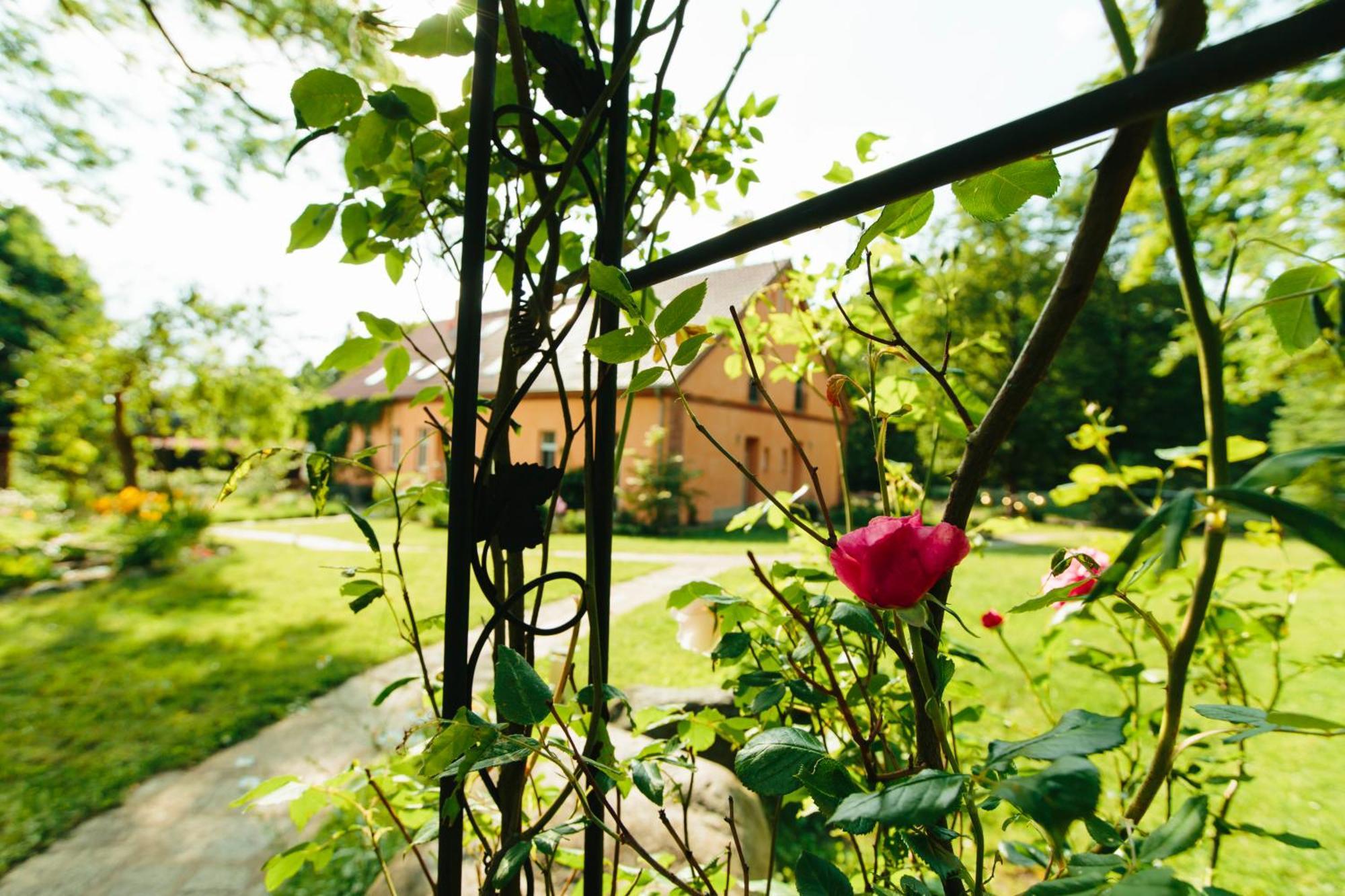Feriendomizil Alter Garten Temmen-Ringenwalde Esterno foto