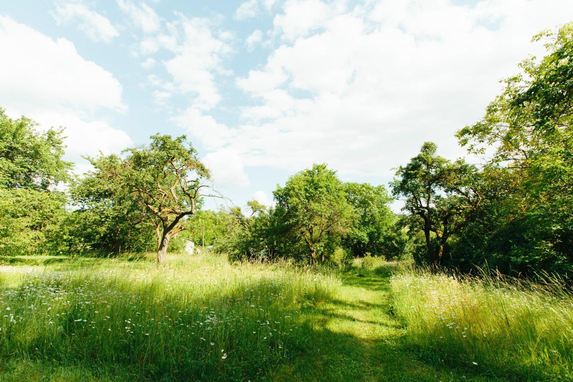 Feriendomizil Alter Garten Temmen-Ringenwalde Esterno foto