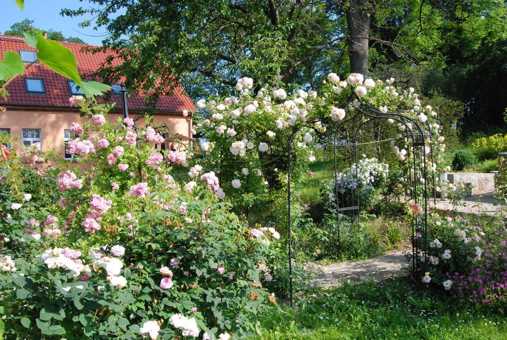 Feriendomizil Alter Garten Temmen-Ringenwalde Esterno foto