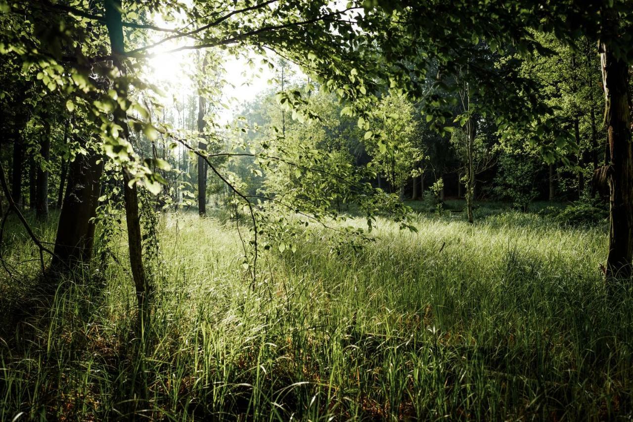 Feriendomizil Alter Garten Temmen-Ringenwalde Esterno foto